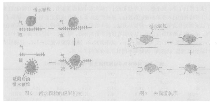 圖6、7.JPG